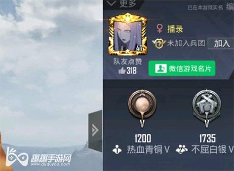 和平精英辅助《悟空》一体直装透视挂